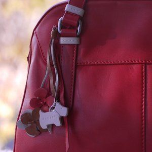 Can you resist the CUTEness